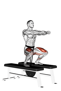 Weighted Squat exercise demonstration for Quadriceps, and Thighs, Weighted