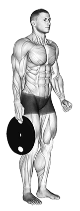 Weighted Standing Hand Squeeze exercise demonstration
