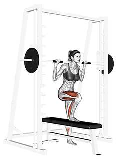 Smith Lateral Step-Up exercise demonstration