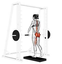 Smith One Leg Deadlift exercise demonstration for Back, Smith machine