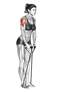 Band lateral raise exercise demonstration