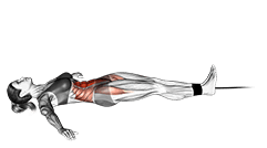 Band lying leg and hip raise exercise demonstration for Waist, Band