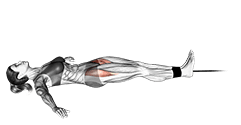 Band lying leg raise exercise demonstration for Hips, Band