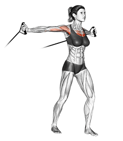 Band middle fly exercise demonstration for Chest, Band