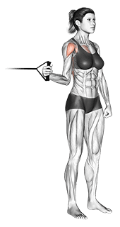 Band standing internal shoulder rotation exercise demonstration for Back, Band