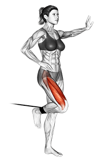 Band standing leg extension exercise demonstration for Quadriceps, and Thighs, Band
