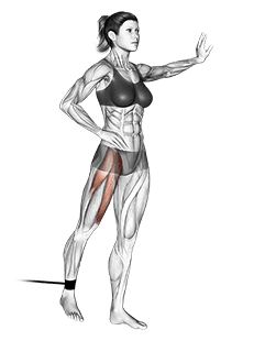 Band standing straight leg raise exercise demonstration for Hips, Band