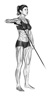 Band Upright Shoulder External Rotation exercise demonstration for Back, Band