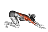 Downward Facing Dog Adho Mukha Svanasana exercise demonstration for Yoga, Body weight