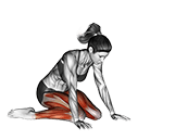 Hero Pose Virasana exercise demonstration for Yoga, Body weight