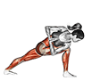 Revolved Side Angle Pose Parivrtta Parsvakonasana exercise demonstration for Yoga, Body weight