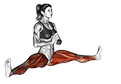 Spread Leg Forward Fold Upavista Konasana exercise demonstration for Yoga, Body weight