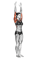 Warrior Pose II Virabhadrasana II exercise demonstration for Yoga, Body weight
