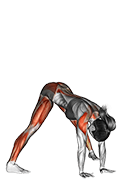 Wide legged Forward Bend Prasarita Padottanasana exercise demonstration for Yoga, Body weight
