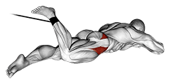 Band Lying Hip Internal Rotation exercise demonstration for Hips, Band