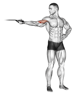 Band one arm overhead biceps cur exercise demonstration for Biceps, and Upper Arms, Band