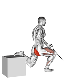 Band One Arm Single Leg Split Squat exercise demonstration for Hips, Band