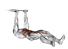 Band push sit-up exercise demonstration for Waist, Band