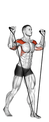 Band shoulder press exercise demonstration for Shoulders, Band