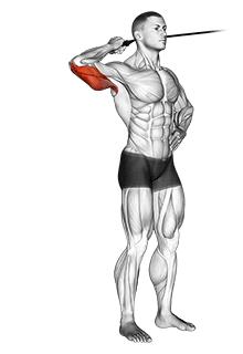 Band side triceps extension exercise demonstration for Triceps, and Upper Arms, Band