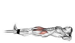Band Lying Straight Leg Raise exercise demonstration for Hips, Band