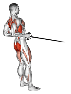Band squat row exercise demonstration for Back, Band