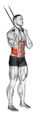 Band standing twisting crunch exercise demonstration
