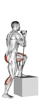 Band step-up exercise demonstration for Hips, Band