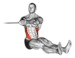 Band seated twist exercise demonstration for Waist, Band