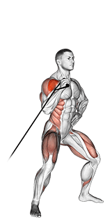 Band twisting overhead press exercise demonstration for Shoulders, Band