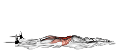 Band v-up exercise demonstration for Waist, Band