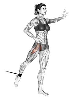 Band Standing Leg Raise exercise demonstration for Hips, Band