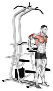Assisted Standing Triceps Dip exercise demonstration for Triceps, and Upper Arms, Leverage machine