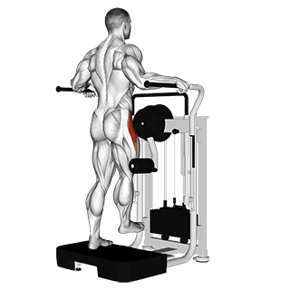 Lever Side Hip Abduction exercise demonstration for Hips, Leverage machine