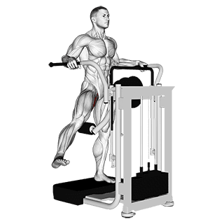 Lever Side Hip Adduction exercise demonstration for Hips, Leverage machine