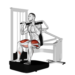 Lever Chair Squat exercise demonstration for Quadriceps, and Thighs, Leverage machine