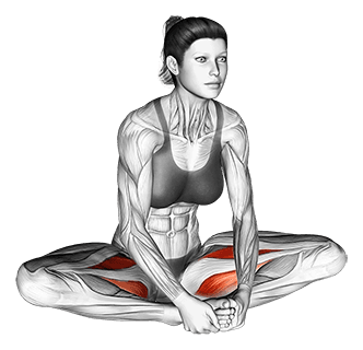 Seated Groin Stretch exercise demonstration for Hips, Body weight