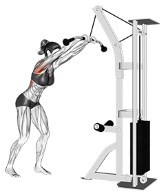 Cable straight arm pulldown exercise demonstration