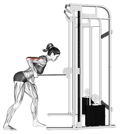 Cable kickback exercise demonstration