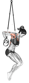 Suspension Chest Dip exercise demonstration