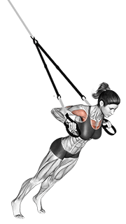Suspension Chest Press exercise demonstration for Chest, Suspension