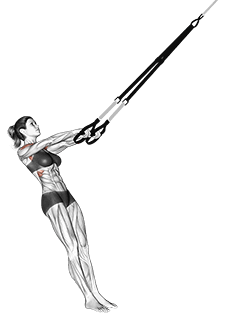 Suspension Front Raise exercise demonstration