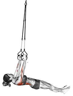 Suspension Inverted Row exercise demonstration