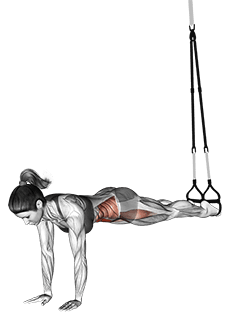 Suspension Jack knife exercise demonstration