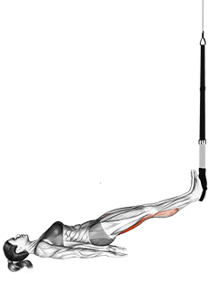 Suspension Straight Hip Leg Curl exercise demonstration