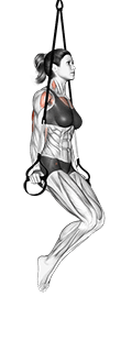 Suspension Triceps Dip exercise demonstration