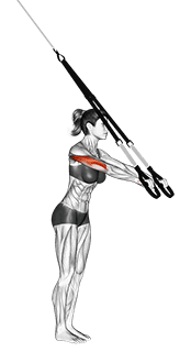 Suspension Triceps Extension exercise demonstration
