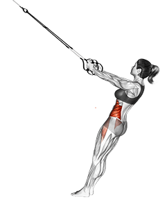 Suspension Twist exercise demonstration