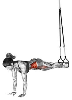 Suspension Twisting Jack knife exercise demonstration