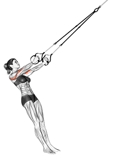 Suspension Biceps Clutch exercise demonstration for Biceps, and Upper Arms, Suspension